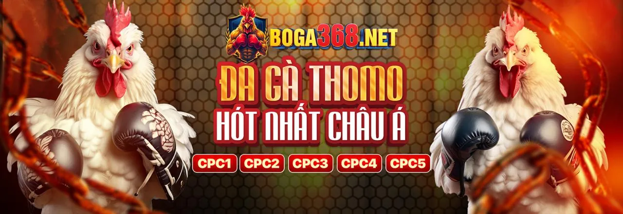 Các bộ môn cá cược thể thao đa dạng