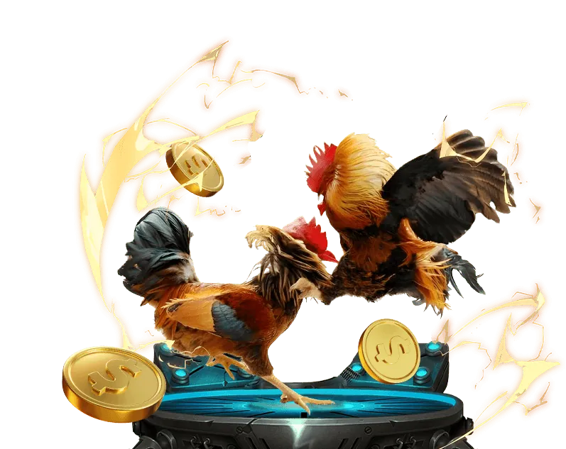 Minh họa các chiến lược đặt cược Rồng Hổ